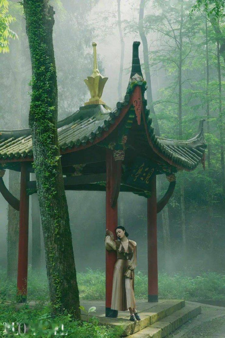 当代资本主义国际垄断组织的主要形式游戏画面